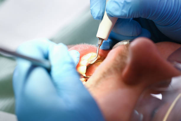 Best Urgent Tooth Repair  in Lyles, TN